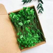 100 pezzi di fiori essiccati vivaci di Gypsophila (Fiore della Nuvola), confezione all'ingrosso - rami naturali di Gypsophila in colori assortiti, adatti come riempitivi per vasi, matrimoni, decorazioni per la casa e da tavolo | Perfetti per progetti fai-da-te, feste e regali