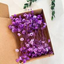100 pezzi di fiori essiccati vivaci di Gypsophila (Fiore della Nuvola), confezione all'ingrosso - rami naturali di Gypsophila in colori assortiti, adatti come riempitivi per vasi, matrimoni, decorazioni per la casa e da tavolo | Perfetti per progetti fai-da-te, feste e regali
