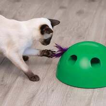 Pets Know Best Pop N' Play Cat Toy - 1 - 查看 3