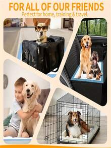 20/50/100 件女士一次性失禁床垫 - 防漏护理垫，适用于成人、老年人、产后护理和宠物 - 超强吸水和防水保护