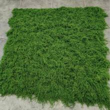 100cm*100cm Articiaifl Moss Carpet Aquascape Bionic Turf Fake Moss Micro-Landscaping Arrangement Lawn Bonsai Potted Plants Pavement