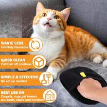 Outil de retrait des poils d'animaux, gants anti-statiques pour retirer les poils d'animaux, ensemble de retrait de poils de chien et de chat pour canapé, vêtements, détaillage de voiture, tapis, lit, literie, meubles