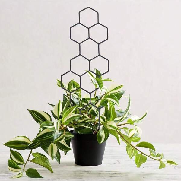 2 paquetes de pequeñas enrejadas para plantas en maceta, enredaderas metálicas de 15.94 pulgadas para plantas trepadoras de interior, forma de panal de abeja para plantas de hiedra, Hoya y plantas de interior con flores