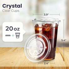 20oz Covered Travel Mug For Cold Drinks, Iced Coffee, Juice, Tea, For Cafe, Restaurant, School, Office, Home