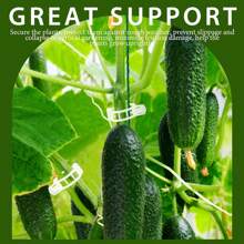 100 bucăți cleme pentru roșii din material PP pentru grădinărit acasă, suport pentru plante din plastic durabil pentru cățărare legume și flori - cleme pentru plante de viță de vie pentru castraveți, dovleci - 1 inch legături pentru plante albe