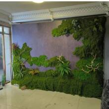 100cm*100cm Articiaifl Moss Carpet Aquascape Bionic Turf Fake Moss Micro-Landscaping Arrangement Lawn Bonsai Potted Plants Pavement