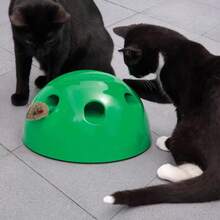 Pets Know Best Pop N' Play Cat Toy - 1 - 查看 10