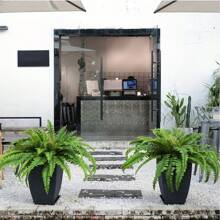 1pc Faux Boston Fern Plant, UV Resistant Artificial Fern Plant For Outdoor Use, Fake Fern Plant, Durable Synthetic Outdoor Fern