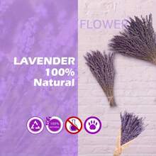 200/300pcs Lavender Bouquet - 3/5 Bundles Of Dried Flowers For Home Decor, Aromatherapy & Photography Props, Pest-Free Processing,Wedding Decoration, Rural Wedding, Bathroom, Bedroom, Yoga Studio | Used For Valentine's Day, Christmas, Thanksgiving, Anniversaries