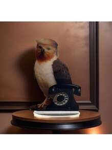 The New Handsome Owl 2D Flat Acrylic Desktop Home Decoration Decoration Assembly Props