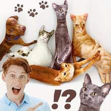 Cute Mini Animal Pillows Can Also Be Used As Pet Toys And Commemorative Gifts For Cats And Dogs. The Soft Plush Fabric Is Suitable For Pet Enthusiasts. - Multicolor - View 5