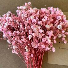 50/100/300 pezzi di Fiori essiccati di Gypsophila naturali e conservati - eleganti Gypsophila duraturi per casa, ufficio, matrimonio, Natale, festa di Ognissanti, artigianato fai-da-te, senza manutenzione, adatti per persone da 14+ anni (senza biglietto di carta)