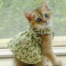 1 pièce Robe de soirée romantique pour animal de compagnie, robe d'été pour chien, jupe pour chat avec imprimé floral vert. Vêtements pour petits chiens, tenue pour animal de compagnie, jupe pour chihuahua, chat princesse, vêtements mignons pour chiot, produit pour animaux de compagnie, robe pour chiot, costume pour bichon et yorkshire, gilet rafraîchissant pour petit et moyen chien et chat - Vert - Voir 1