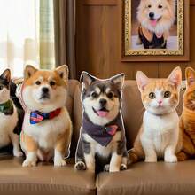 Cute Mini Animal Pillows Can Also Be Used As Pet Toys And Commemorative Gifts For Cats And Dogs. The Soft Plush Fabric Is Suitable For Pet Enthusiasts. - Multicolor - View 8