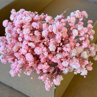 50/100/300 piezas Flor seca de Gipsófila natural preservada - Elegante Gipsófila duradera para el hogar, oficina, boda, Navidad, fiesta de Halloween, manualidades DIY, sin mantenimiento, apto para mayores de 14 años (sin tarjeta de papel)