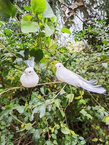 2/6/12 件人造小鸟花园装饰、户外景观配件 - 白色 - 查看 2