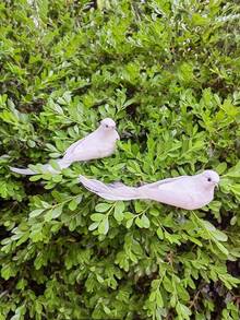 2/6/12 件人造小鸟花园装饰、户外景观配件 - 白色 - 查看 3