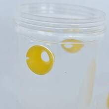 Transparent Plastic Outdoor Insect Trap With Yellow Lid - No Power Needed, Effectively Traps Fruit Flies, Wasps And Aphids, Transparent Design For Easy Monitoring, Flying Insect Trap - Multicolor - View 6