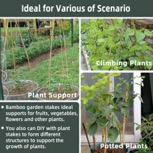 50pcs 2FT Bamboo Plant Stakes For Indoor Outdoor Plants, 0.32in-0.4in Bamboo Sticks Garden Support Stakes Bamboo Poles Trellis For Tomato Vegetables Beans Trees Potted Climbing Plants