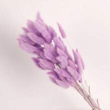 42/112 piezas de Colas de conejo bohemio artificial - perfectas para el hogar, la boda y la decoración estacional | No se necesitan baterías, versátil para Halloween, Navidad, Acción de Gracias y Día de San Valentín, Decoración de otoño