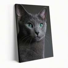 Gray Cat With Green Eyes Poster Modern Canvas Wall Painting Simple Aesthetic Decoration Bedroom Kitchen Living Room Dormitory Home Decorations With Frame Ready To Hang - Multicolor - View 1