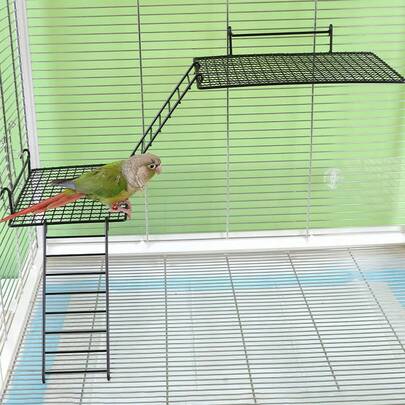 1 件铁质镂空挂钩栖木，鹦鹉互动平台，攀爬梯休息台，可扩展鸟笼装饰配件，适合所有季节