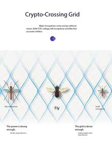 1 个 USB 供电苍蝇拍 - 三合一电击装置，配备五层网格，只杀蚊子不杀人，便携式杀虫器，适用于室内/室外露营、厨房、露台、汽车，小巧便携，节能，是必备的害虫防治工具。