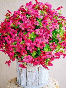 Rosa Fucsia
