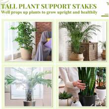 120 pezzi - Supporto per fiori per piante in vaso, supporto impilabile per piante rampicanti indoor di piccole dimensioni, supporto per fiori, piante rampicanti, dalie all`aperto, portavasi per bonsai di casa
