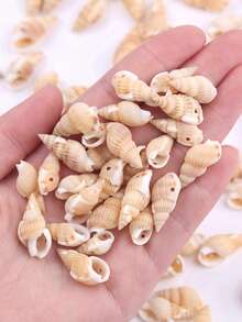 30g/Pack Assorted Size Perforated Small Seashells, DIY Beading Materials, Craft Decoration Accessory - Beige - View 1