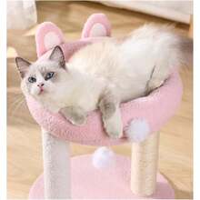 2025 Hottt New Arrivals:Cat Tree Rabbit Ear Cat Climbing Frame Three-Tier Cat Litter One Cat Frame Cat Toy Cat Scratching Post Pet Spli Cat Activiti Furniture For CatsParentOne Color - Bildfarbe - View 4