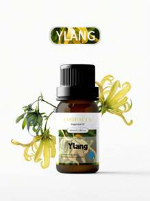 EMBRACEX. 21 estilos de perfumes de flores con aceites esenciales para mujeres, fragancias florales para hacer aromatizadores de hogar, velas y talla grande; incluye lavanda, clavo, rosa, campanilla, magnolia, peonía, lirio, cerezo, violeta, clavel