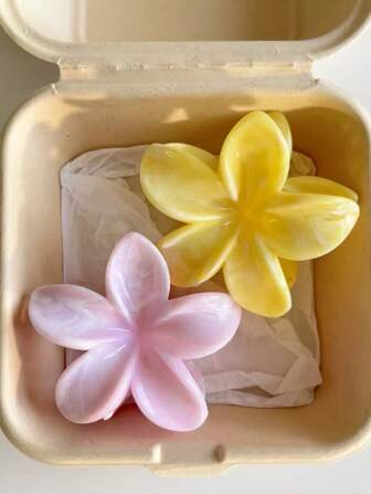 2 件亚克力渐变大花朵设计发夹，简约优雅发髻夹，精致女士发饰，适合日常佩戴和度假发夹发夹发夹发夹秋冬爪夹