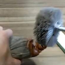 1件装尼龙抛光花头打磨刷适用于红木家具木雕浮雕耐磨抛光工具 - 彩色 - 查看 6
