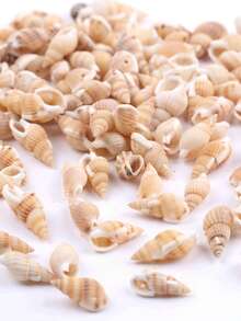 30g/Pack Assorted Size Perforated Small Seashells, DIY Beading Materials, Craft Decoration Accessory - Beige - View 3