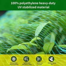 Red anti pájaros para estanque, red de protección para piscina, malla para jardín, plantas, árboles frutales, verduras, trampas para flores, red de protección contra plagas - Verde - Ver 5