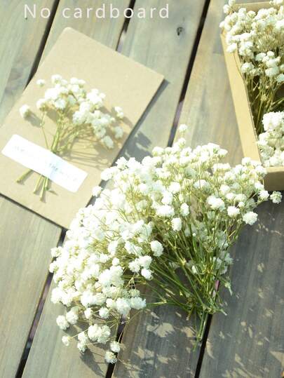 25/50/100/300 قطعة أزهار جبسي صغيرة وأزهار جافة أخرى - لفن صناعة السلاح والحرف اليدوية، باقة من الأزهار البيضاء العاجية للاكسسوارات الشعرية، أكاليل الزفاف، وعاء الطاولة، ديكور المنزل