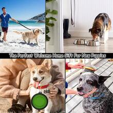 [Upgrade Version] Puppy Kit,39 Pack Puppy Essential Starter Kit For Small And Medium Dogs,Perfect Welcome Home Gift For New Puppies - Blue - View 8