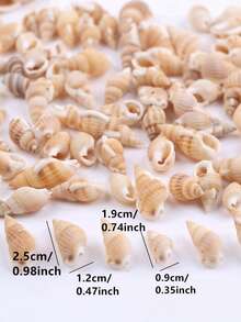 30g/Pack Assorted Size Perforated Small Seashells, DIY Beading Materials, Craft Decoration Accessory - Beige - View 2