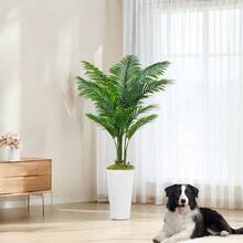 1/2 Packs Artificial Palm Trees 5FT Fake Tree With White Tall Planter Faux Tropical Areca Floor Plant In Pot Artificial Plants With Natural Wood Trunk And Lifelike Leaves Fake Green Plants For Home Office Living Room Decor Indoor - 綠色 - 查看 1