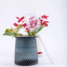 This Tulip Watering Device Is A Slouchy Person's Savior! Adopting A Scientific Seepage Design, It Precisely Controls The Water Flow Speed, Simulating Natural Drip Irrigation. This Can Both Avoid Waterlogging And Root Rot, And Ensure The Tulip Root System Is Well-Hydrated For The Flowers To Bloom Beautifully. No Complex Installation Required.