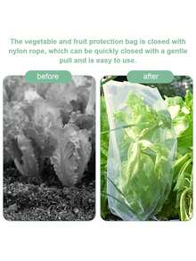 50/100 Buah Kantong Pelindung Buah & Sayuran dengan Penutup Jaring Tali Serut, Kantong Jaring Buah Taman yang Dapat Digunakan Kembali, Kantong Kasa, Kantong Hadiah, Untuk Anggur, Apel, Jeruk Bali, Tanaman, Bunga, Sayuran, Pohon, dan Lainnya, Pelindung Serangga Berkebun yang Ideal, Penutup Jaring Anti Serangga Taman - MultiWarna - View 12