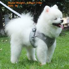 2 Buah Harness Hewan Peliharaan dengan Tali, Terbuat dari Kain Jala yang Bernapas, dengan Garis Reflektif, Cocok untuk Jalan-jalan di Luar Ruangan dan Penggunaan Malam Hari untuk Kucing dan Anjing - Grey - View 7