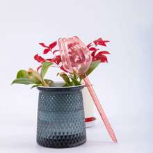 This Tulip Watering Device Is A Slouchy Person's Savior! Adopting A Scientific Seepage Design, It Precisely Controls The Water Flow Speed, Simulating Natural Drip Irrigation. This Can Both Avoid Waterlogging And Root Rot, And Ensure The Tulip Root System Is Well-Hydrated For The Flowers To Bloom Beautifully. No Complex Installation Required.
