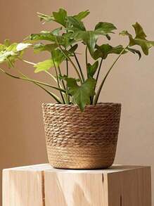 1 pièce Panier en paille pour plantes, Pot en rotin tissé d'intérieur, Panier de plante décoratif pour la maison, Doublure en plastique étanche pour la décoration de jardin intérieur et extérieur