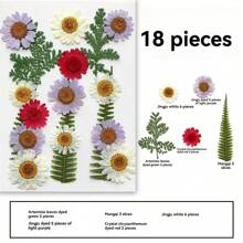 35pcs Dried Pressed Flowers For Resin Molds, Real Pressed Flowers Dry Leaves Kit For Art Crafts Resin Jewelry Making Scrapbook Supplies Card Making Soap Candle DIY Nails Decor| Valentine Day's Gift| Couple Gift| Christmas Gift Xmas Gift| Halloween Gift Decor