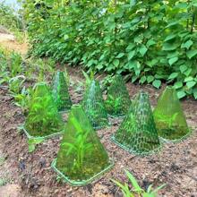 DIY Plant Growth Watch Cover Reusable Planting Tent Garden Yard Seedling Plastic Bell Box Plant Shield From Birds Frosted Snails