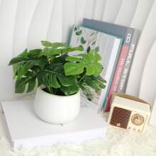 1pc Artificial Turtle Back Leaf Potted Plant, 6 Inch Fake Turtle Back Leaf In White Planter, Suitable For Decoration On Desks, Homes, Office Shelves, Beautiful Accent For Life!