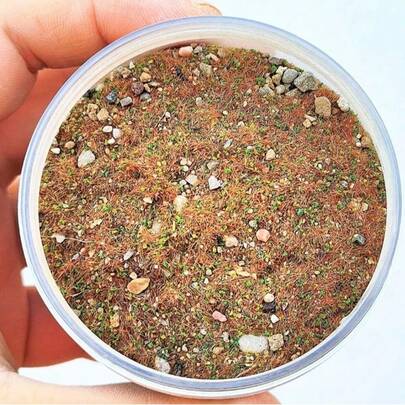 30克沙盒模型仿真草粉石粒植被手工DIY建筑材料微景观草坪