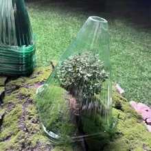 DIY Plant Growth Watch Cover Reusable Planting Tent Garden Yard Seedling Plastic Bell Box Plant Shield From Birds Frosted Snails